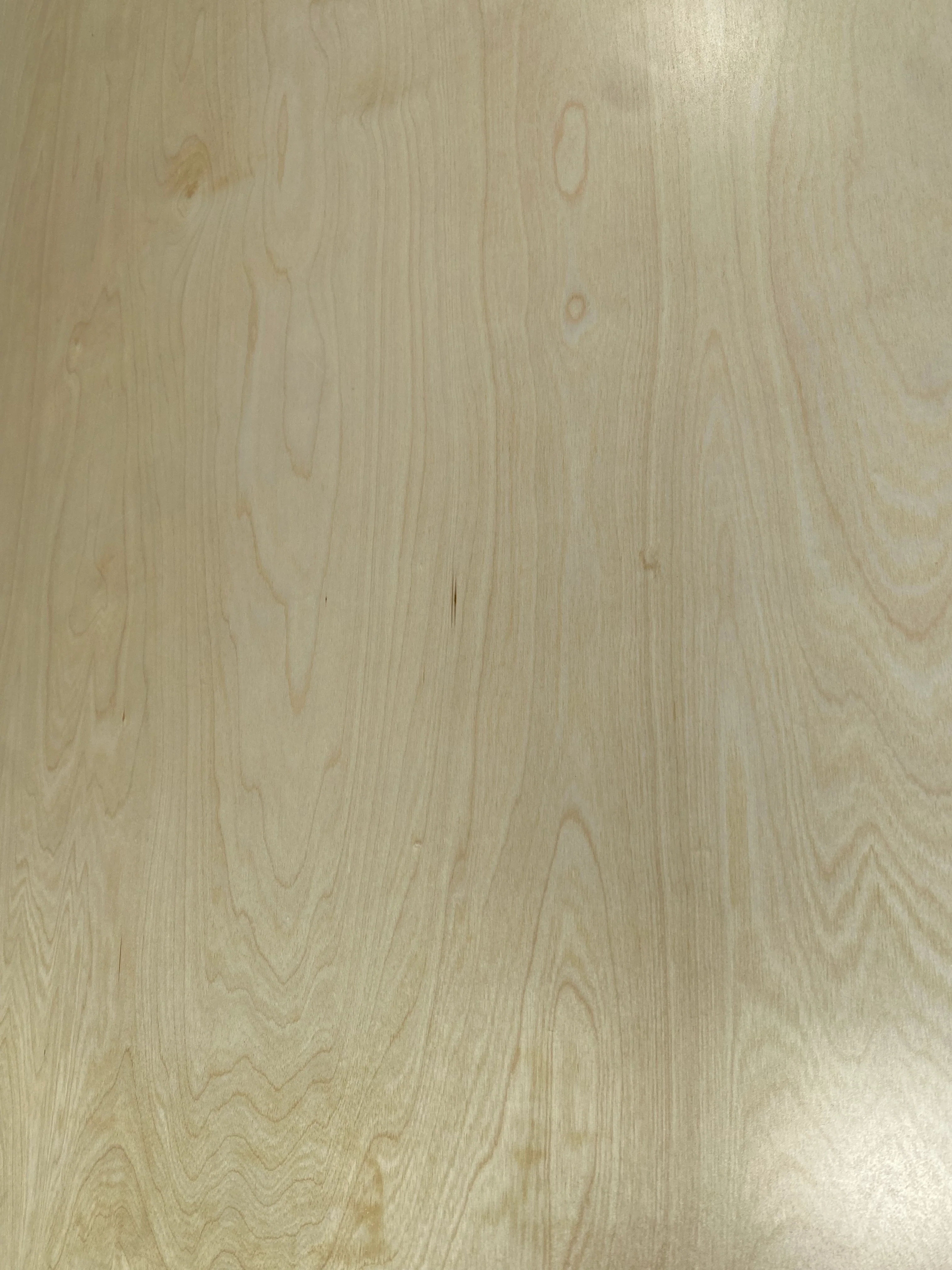 Contreplaqué Bouleau - 2450 x 1230 x 12,5 mm - Image 4