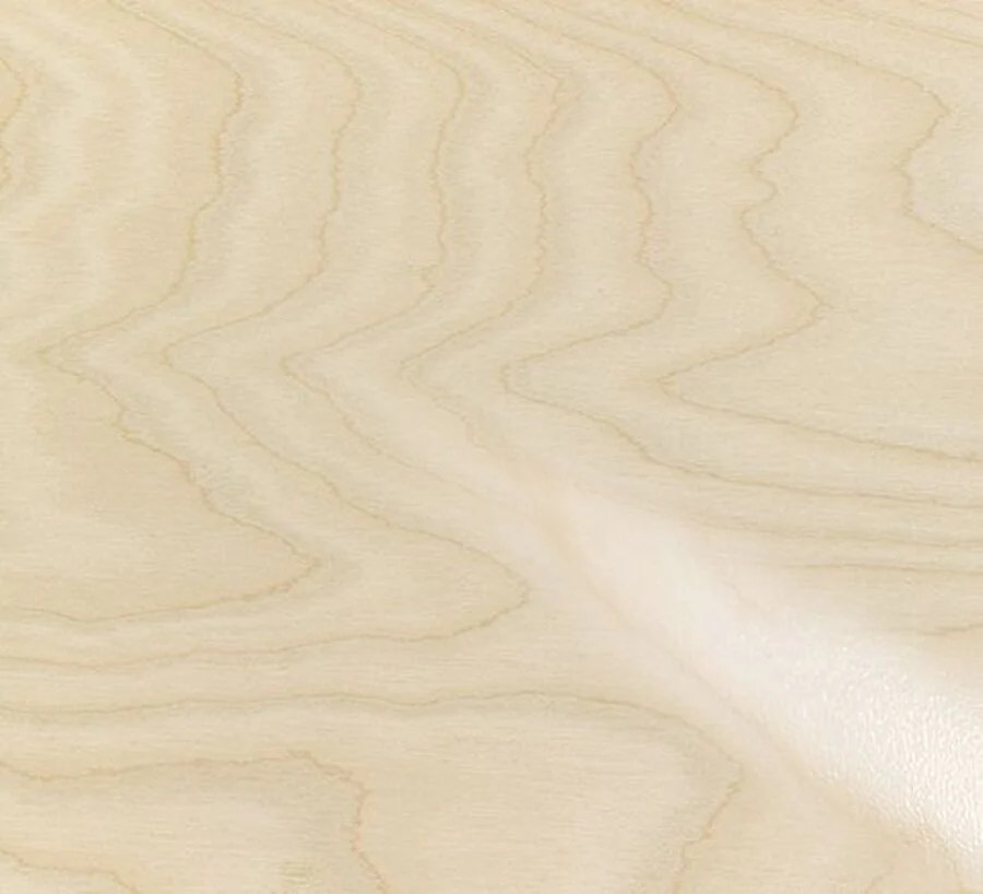 Contreplaqué Bouleau - 2450 x 1230 x 12,5 mm - Image 5