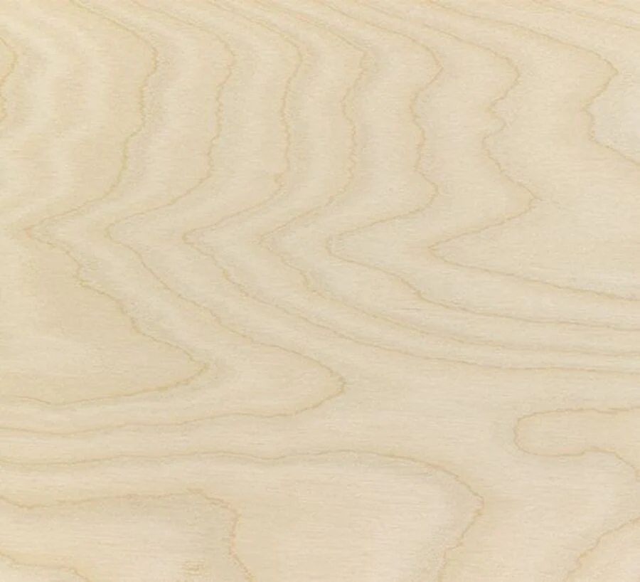 Contreplaqué Bouleau - 2450 x 1230 x 18,5 mm - Image 6